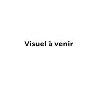 Oracle de la guérison émotionnelle: Se libérer des mémoires inconscientes : blessures, héritage familial, vies antérieures...