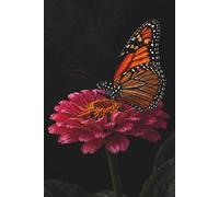 Orange Butterfly Notebook for Women: Aesthetic 6x9 Lined Notebook - Minimalist Butterfly Cover, Elegant Journal for Writing, Notes & Daily Reflections