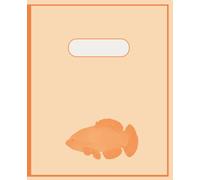 Orange Fish Primary Composition Notebook (7.5” x 9.25”) Blank & Lined Journal for Kids | 110 Pages | Drawing, Writing, Copywork & Homeschool Use: A ... for pictures and words to grow side by side
