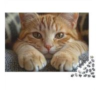 Orange Tabby Cat 1000 Pezzi Puzzle Adulti Adorabile Gatto Rosso che Spunta dalla Coperta Premium Robusto Alta Qualità Vivace Stimolante Difficile Antistress Regalo Famiglia 38x26cm/1000pz