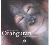 Orangutan. Angeli della foresta. Ediz. illustrata