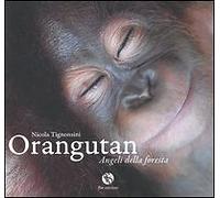 Orangutan, Angeli delle Foresta - [FBE]