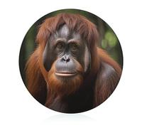 Orangutan Tagliere per foto da cucina, mini tagliere rotondo in vetro temperato per tagliare pizza carne frutta (20 cm)