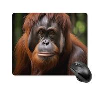 Orangutan - Tappetino per mouse quadrato per computer portatile, con base in gomma antiscivolo, 18 x 22 cm, ultra sottile, per computer, laptop, ufficio, accessori da scrivania