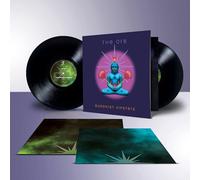 Orb,the - Buddhist Hipsters