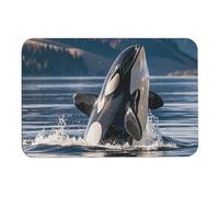 Orca Killer Whale Diatomom tappetini da bagno assorbe umidità e sporco, zerbino con retro in gomma antiscivolo, adatto sotto la porta, per pavimento del bagno, vasca, doccia, lavandino