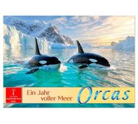 Orcas - ein Jahr voller Meer (Tischkalender 2026 DIN A5 quer), CALVENDO Monatskalender: Einzigartige Momente - Orcas in ihrer wahren Heimat.