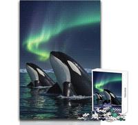 Orche sotto l'aurora boreale Puzzle 1000 pezzi Gioco divertente per lo sviluppo cognitivo Speciale regalo di festa premuroso Dimensioni 38x26cm
