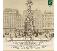 Orchestra Da Camera Di Mantova, Carnelli Alessandro Maria - A Symphony And Its Consequences