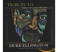 Orchestra De Cambra Theatre - Tribute To Duke Ellington