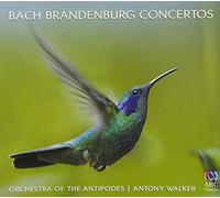 Orchestra Of The Antipodes - Bach: Brandenburg Concertos