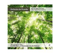 - Orchestre De Picardie, Arie Van Beek - Pepin: Il Suono degli Alberi - CD