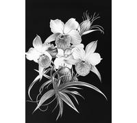Orchid Shadows: A Journaling Journey: A Sophisticated 7x10 Journal with 200 Pages for Writing, Reflection, and Creative Expression
