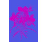 Orchid Shadows: A Journaling Journey - Violet Pink Edition: A Sophisticated 7x10 Notebook with 200 Pages for Writing, Reflection, and Creative Expression