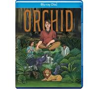 Orchidea