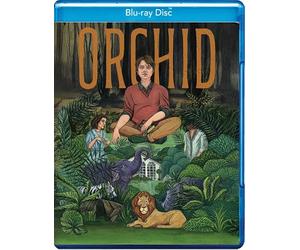 Orchidea