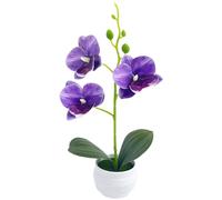 Orchidea Artificiale Bassa Manutenzione per Arredamento Interni No Acqua Luce So