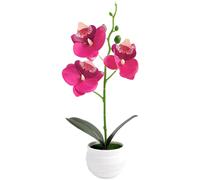 Orchidea Artificiale Bassa Manutenzione per Arredamento Interni No Acqua Luce So