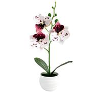 Orchidea Artificiale Bassa Manutenzione per Arredamento Interni No Acqua Luce So