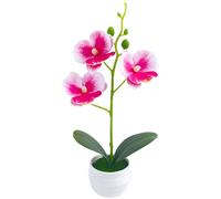 Orchidea Artificiale Bassa Manutenzione per Arredamento Interni No Acqua Luce So