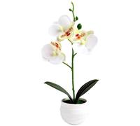 Orchidea Artificiale Bassa Manutenzione per Arredamento Interni No Acqua Luce So