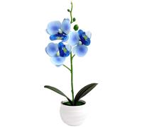 Orchidea Artificiale Bassa Manutenzione per Arredamento Interni No Acqua Luce So