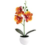 Orchidea Artificiale Bassa Manutenzione per Arredamento Interni No Acqua Luce So