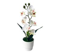 Orchidea artificiale bianca arancione gialla rossa bianca in da