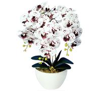 Orchidea Artificiale Damich 3 Rami Fioriti 60cm 3pgk