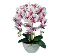Orchidea artificiale Damich Decorazione 60cm 3pgof