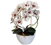 Orchidea Fiori Artificiali 2 Modelli Realistica