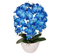 Orchidea artificiale Damich, in gomma, vaso bianco, 3pgrk2, Blu