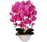 Orchidea artificiale Damich Rosa o Verde 60 cm in Gomma