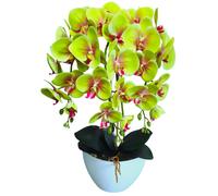 Orchidea artificiale Damich Rosa o Verde 60 cm in Gomma
