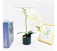 Orchidea Artificiale Fiore Finta Farfalla Orchidea in Vaso per Scrivania o Menso