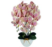 Orchidea artificiale Giallo Rosa Decorativa 60 cm da Interno
