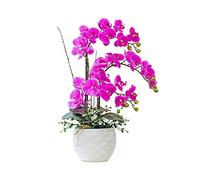 Orchidea artificiale in seta bianca rosa Phalaenopsis bouquet fiori finti con vaso all'aperto matrimonio casa ufficio decorazione per casa tavolo ufficio decorazione scrivania (colore: bianco)