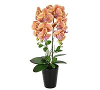 Orchidea artificiale in vaso, fiore artificiale, orchidea artificiale, orchidea artificiale, phalaenopsis, con vaso per piante artificiali, come decorazione per matrimoni, fiori di seta, fiori reali