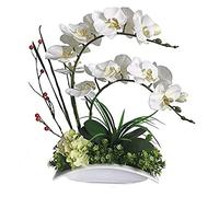 Orchidea artificiale in vaso in ceramica piante finte decorative vera touch tocco falaenopsis bonsai disposizione floreale per centrotavola da tavolo soggiorno decorazioni per la casa interno