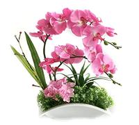 Orchidea artificiale in vaso in ceramica piante finte decorative vera touch tocco falaenopsis bonsai disposizione floreale per centrotavola da tavolo soggiorno decorazioni per la casa interno