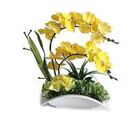 Orchidea artificiale in vaso in ceramica piante finte decorative vera touch tocco falaenopsis bonsai disposizione floreale per centrotavola da tavolo soggiorno decorazioni per la casa interno