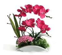 Orchidea artificiale in vaso in ceramica piante finte decorative vera touch tocco falaenopsis bonsai disposizione floreale per centrotavola da tavolo soggiorno decorazioni per la casa interno