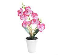 Orchidea artificiale in vaso per la decorazione della casa che enfatizza la forma naturale e le sottili variazioni di colore senza tonalità luminose (rosa rosso)