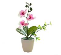 Orchidea artificiale Phalaenopsis bonsai falena finta pianta in vaso decorazione per casa, ufficio, festa di nozze, soggiorno, fiore in plastica, 26 cm (viola)