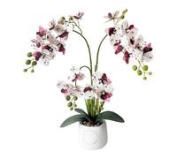 Orchidea artificiale Phalaenopsis con 24 teste in vaso, composizione floreale finta