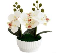 Orchidea artificiale Phalaenopsis con struttura realistica delle foglie per tema botanico coesivo in interior design (bianco)