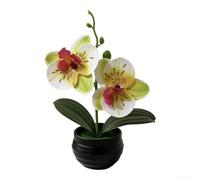 Orchidea artificiale Phalaenopsis Fiore Finto Vaso a strisce per la decorazione della casa Matrimonio Fotografia Prop Pianta in plastica 18 cm (verde bianco)