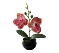 Orchidea artificiale Phalaenopsis Fiore Finto Vaso a strisce per la decorazione della casa Matrimonio Fotografia Prop Pianta di plastica 18 cm (fantasia rosa rosso)