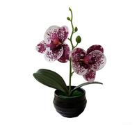 Orchidea artificiale Phalaenopsis Fiore Finto Vaso a strisce per la decorazione della casa Matrimonio Fotografia Prop Pianta di plastica 18 cm (maculato viola)