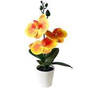 Orchidea artificiale Phalaenopsis in vaso bianco, 26 cm pianta in vaso | Goditi la bellezza botanica tutto l'anno con un'orchidea realistica a tre fioriture che non richiede né irrigazione né luce